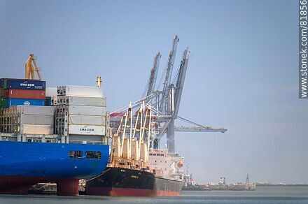 Cranes, cargo ships and containers - Department of Montevideo - URUGUAY. Photo #81856