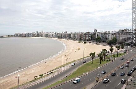 Rambla de Pocitos desde lo alto de un edificio - Departamento de Montevideo - URUGUAY. Foto No. 81893