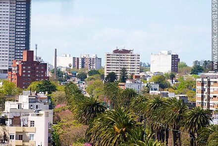 Edificios y palmeras de Bulevar Artigas - Departamento de Montevideo - URUGUAY. Foto No. 81959