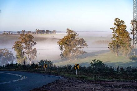 Neblina matinal en el campo - Departamento de Rivera - URUGUAY. Foto No. 82792