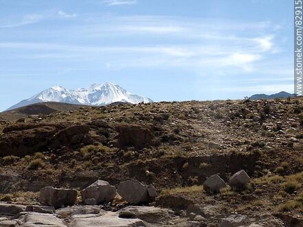 On the side of Route 11 in the Andes - Chile - Others in SOUTH AMERICA. Photo #82915