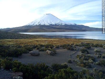 Chungará Lake and Parinacota Volcano - Chile - Others in SOUTH AMERICA. Photo #82926