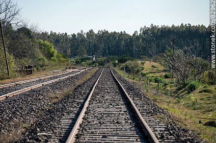 Algorta train station. Tracks to Paysandú - Rio Negro - URUGUAY. Photo #82962