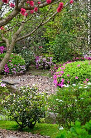 Spring in the Japanese Garden - Department of Montevideo - URUGUAY. Photo #83948