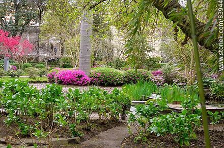 Primavera en el Jardín Japonés - Departamento de Montevideo - URUGUAY. Foto No. 83944