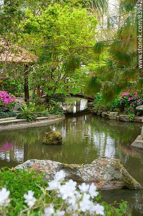 Spring in the Japanese Garden. The pond and the arched bridge - Department of Montevideo - URUGUAY. Photo #83942