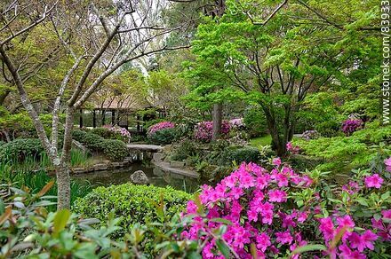 Spring in the Japanese Garden - Department of Montevideo - URUGUAY. Photo #83933