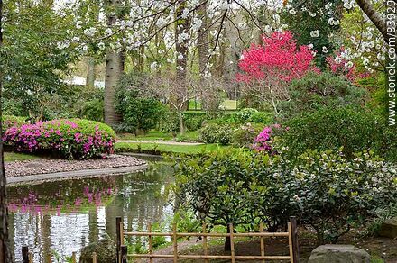 Spring in the Japanese Garden - Department of Montevideo - URUGUAY. Photo #83929