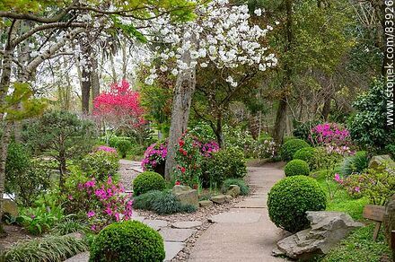 Primavera en el Jardín Japonés - Departamento de Montevideo - URUGUAY. Foto No. 83926