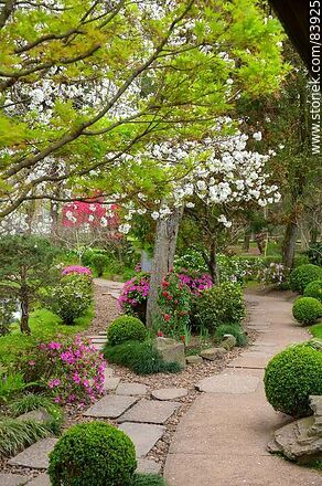 Spring in the Japanese Garden - Department of Montevideo - URUGUAY. Photo #83925
