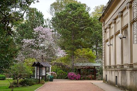 Acceso al Jardín Japonés. Museo Blanes - Departamento de Montevideo - URUGUAY. Foto No. 83921