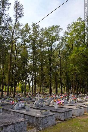 Homogeneous tombs in front of the cypress trees in the San Javier cemetery - Rio Negro - URUGUAY. Photo #84380