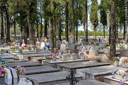 Homogeneous tombs in front of the cypress trees in the San Javier cemetery - Rio Negro - URUGUAY. Photo #84371