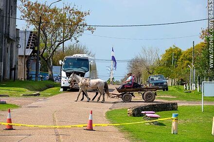 Horse-drawn carriage, rubber wheels and armchairs as seats - Rio Negro - URUGUAY. Photo #84353