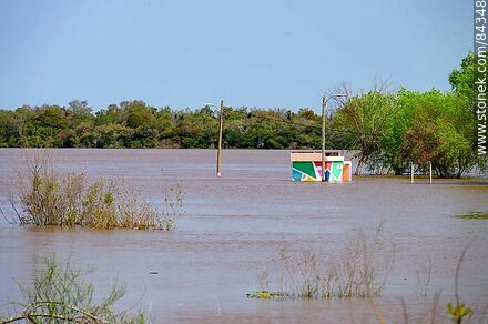El río Uruguay muy crecido - Departamento de Río Negro - URUGUAY. Foto No. 84348