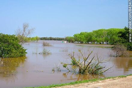 El río Uruguay muy crecido - Departamento de Río Negro - URUGUAY. Foto No. 84347