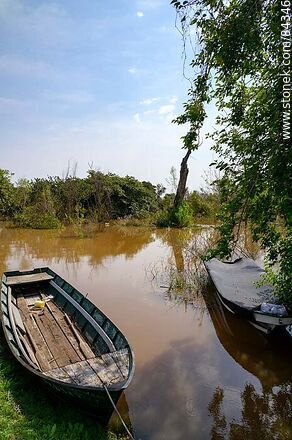 Bote sobre el río crecido - Departamento de Río Negro - URUGUAY. Foto No. 84346