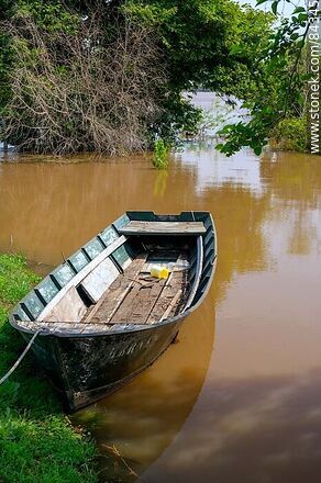 Bote sobre el río crecido - Departamento de Río Negro - URUGUAY. Foto No. 84345