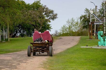 Horse-drawn carriage, rubber wheels and armchairs as seats - Rio Negro - URUGUAY. Photo #84340