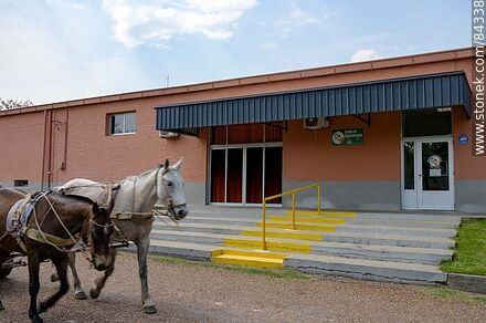 Equine Therapy Center - Rio Negro - URUGUAY. Photo #84338