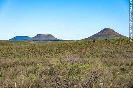 Los Tres Cerros: Cuñapirú, Medio y al fondo, Alpargata - Departamento de Rivera - URUGUAY. Foto No. 84499