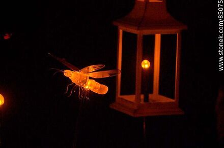 Fireflies - Department of Montevideo - URUGUAY. Photo #85075