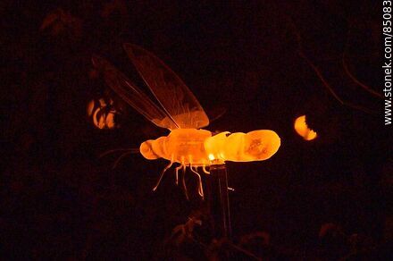 Fireflies - Department of Montevideo - URUGUAY. Photo #85083