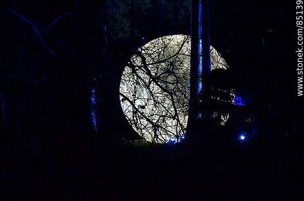 Full moon among the trees - Department of Montevideo - URUGUAY. Photo #85139