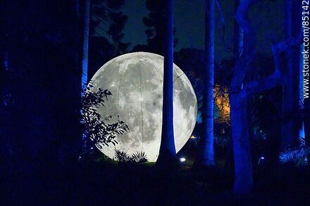 Full moon among the trees - Department of Montevideo - URUGUAY. Photo #85142