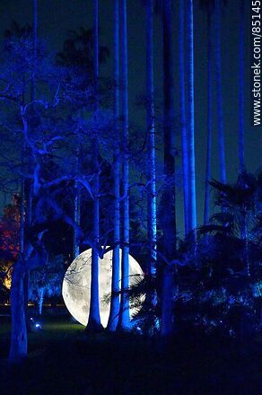 Luna llena entre los árboles - Departamento de Montevideo - URUGUAY. Foto No. 85145