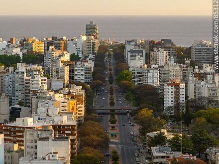 Aerial view of Bulevar Artigas at sunset - Department of Montevideo - URUGUAY. Photo #85312