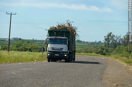 Camión con carga de caña de azúcar que se dirige a la planta de ALUR o CALNU - Departamento de Artigas - URUGUAY. Foto No. 85486