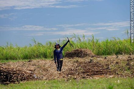 Cañero (también llamados peludos) cortando caña de azúcar - Departamento de Artigas - URUGUAY. Foto No. 85565