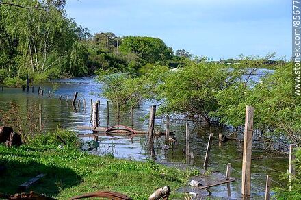 Río Cuareim crecido - Departamento de Artigas - URUGUAY. Foto No. 85677