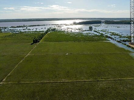 Aerial view of streets and plantations flooded by the rising Uruguay River - Artigas - URUGUAY. Photo #85989