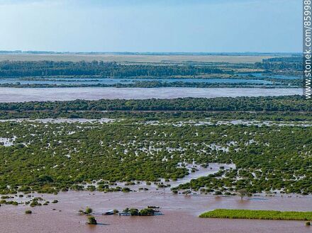 Aerial view of fields flooded by the rising Uruguay River - Artigas - URUGUAY. Photo #85998