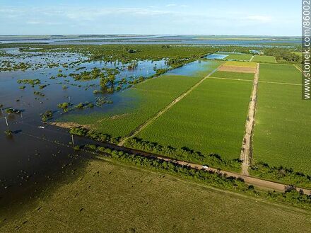 Vista aérea de calles y plantaciones inundadas por la creciente del río Cuareim - Departamento de Artigas - URUGUAY. Foto No. 86002