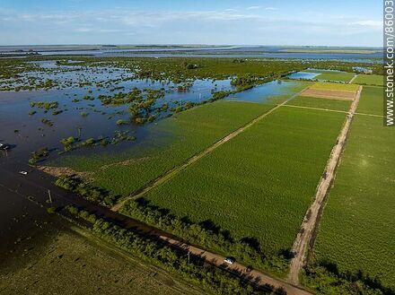 Vista aérea de calles y plantaciones inundadas por la creciente del río Cuareim - Departamento de Artigas - URUGUAY. Foto No. 86003