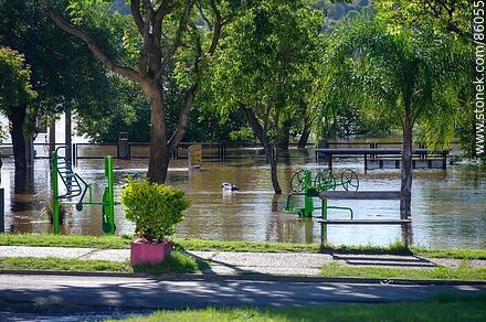 Parque inundado - Departamento de Salto - URUGUAY. Foto No. 86055