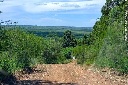 Road near the Virgen de los Treinta y Tres Orientales Sanctuary - Artigas - URUGUAY. Photo #86113