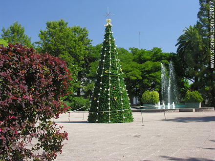 Plaza Constitución. - Departamento de Flores - URUGUAY. Foto No. 29877