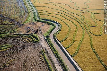 Canal que divide áreas de arrozales cosechados - Departamento de Rocha - URUGUAY. Foto No. 29439