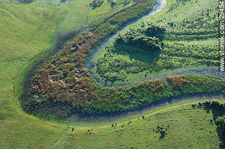 Meandro de un curso de agua tupido de vegetación - Departamento de Rocha - URUGUAY. Foto No. 29454