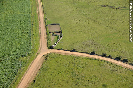 Fields of Rocha - Department of Rocha - URUGUAY. Photo #29349