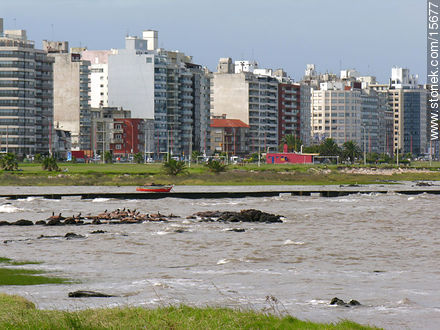  - Department of Montevideo - URUGUAY. Photo #15677