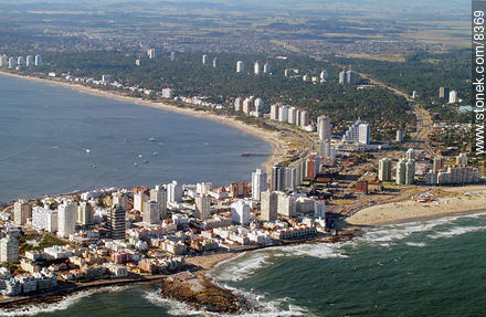  - Punta del Este and its near resorts - URUGUAY. Photo #8369