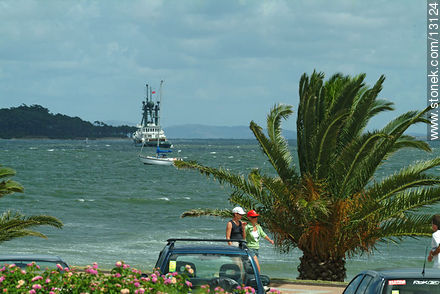  - Punta del Este y balnearios cercanos - URUGUAY. Foto No. 13124