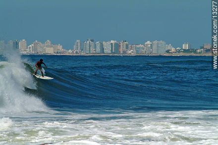 Surfer en Punta del Este - Punta del Este y balnearios cercanos - URUGUAY. Foto No. 13277