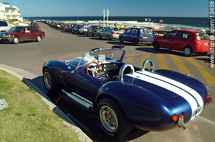 Shelby Cobra - Punta del Este and its near resorts - URUGUAY. Photo #13458