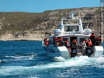 Motor boat specially prepared for whales sighting. - Province of Chubut - ARGENTINA. Photo #3106